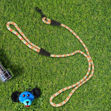 Correa Premium color Naranja con Verde para Perro