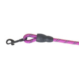 Correa Premium color Rosa con Negro para Perro