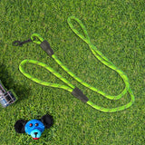 Correa Premium color Verde para Perro