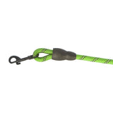 Correa Premium color Verde para Perro