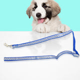 Correa color Azul Rey para Perro, 1.30m