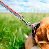 Correa para Mascota, Color Rosa con Azul