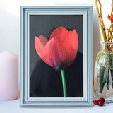 Portarretrato Tulipán, 10x15cm