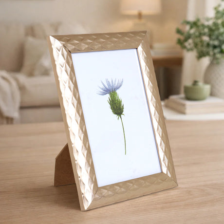 Portarretrato, Planta, Color Cobre