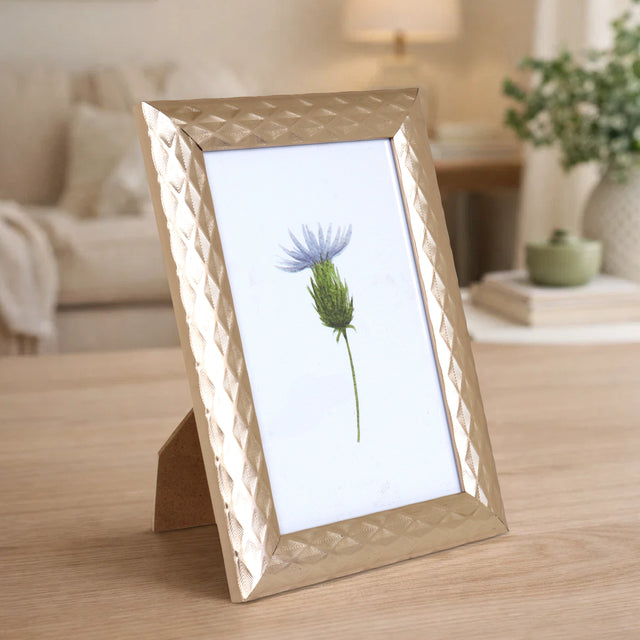 Portarretrato, Planta, Color Cobre