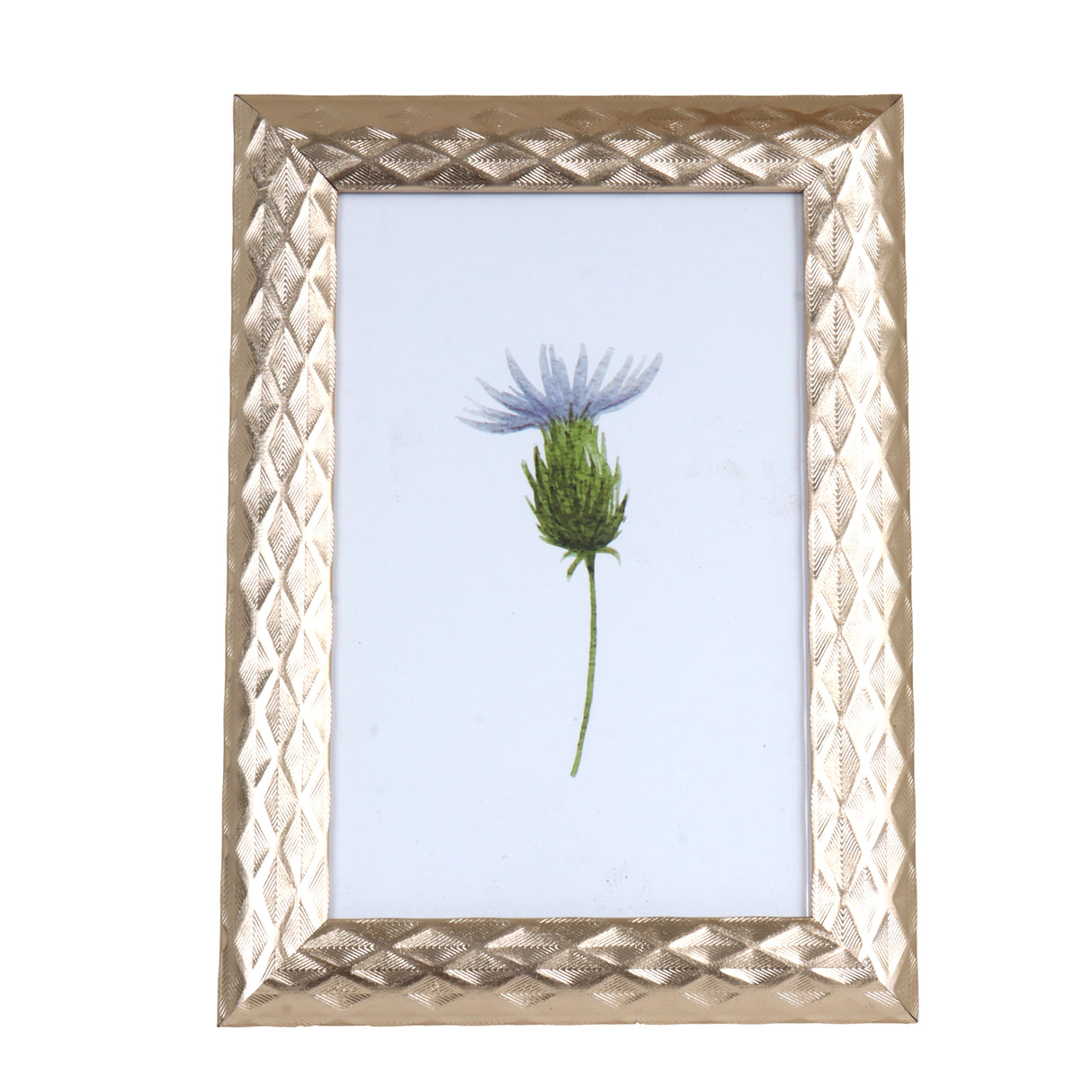 Portarretrato, Planta, Color Cobre