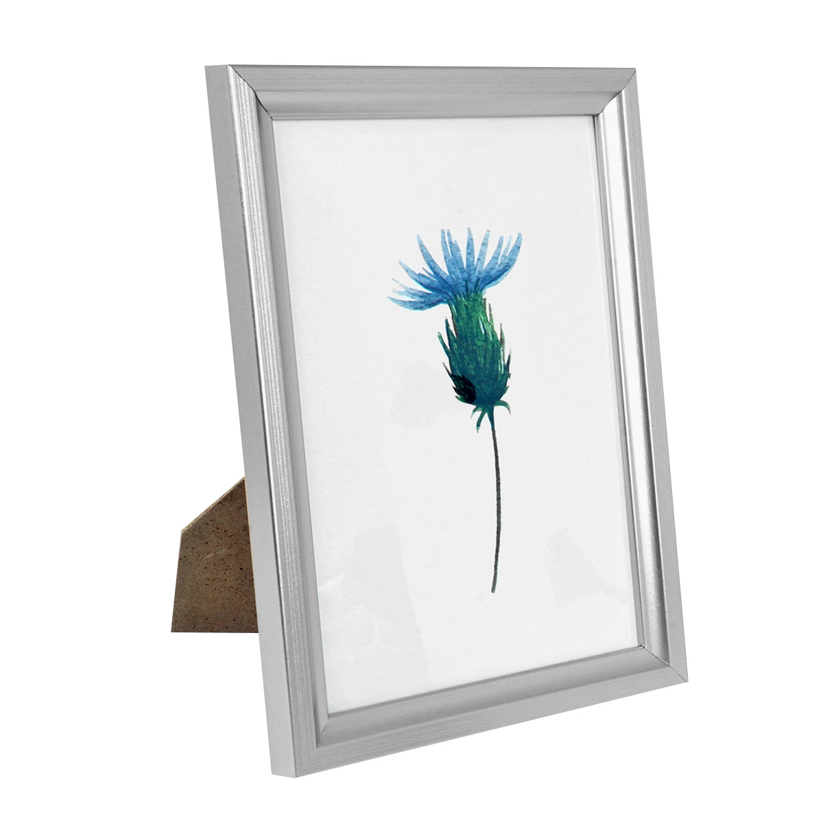 Portarretrato, Flor, Color Plata