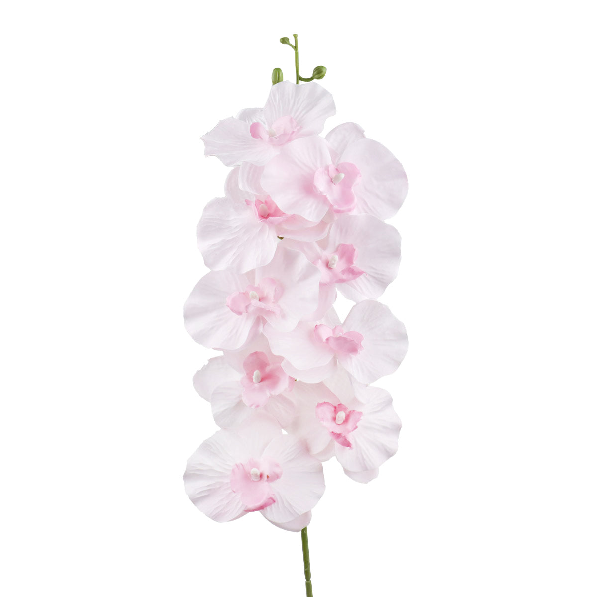 Orquídea, Flor Artificial, Color Rosa Claro