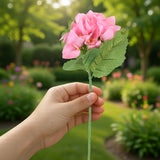 Bugambilia Artificial, Color Rosa