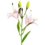 Flores Artificiales, Lirio