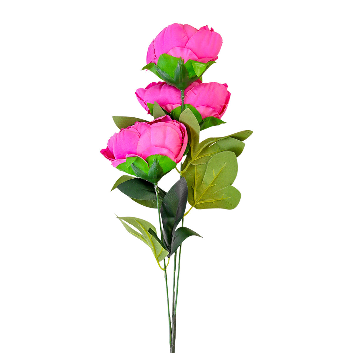 PeonÃ­as Artificiales, Color Rosa