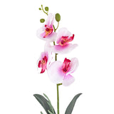 Maceta Clásica con Orquídea Artificial, Color Rosa con Blanco
