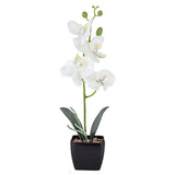 Maceta Clásica con Orquídea Artificial, Color Blanco