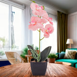 Maceta Clásica con Orquídea Artificial, Color Rosa Claro