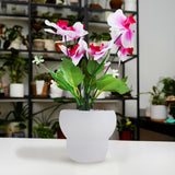 Maceta con Orquídea Artificial, Color Blanco y Rosa