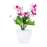 Maceta con Orquídea Artificial, Color Blanco y Rosa