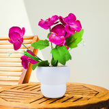 Maceta con OrquÃ­dea Artificial, Color Morado