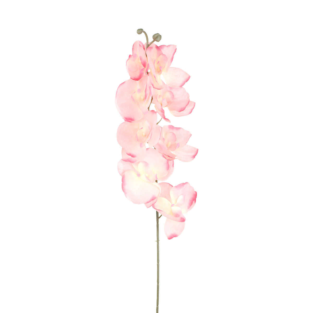 Orquídea Artificial, Color Rosa