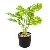 Maceta Negra con Planta Monstera Obliqua Artificial