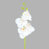 Rama de Orquídea Artificial, Color Blanco