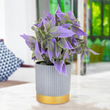 Maceta Gris con Planta Artificial Color Morado