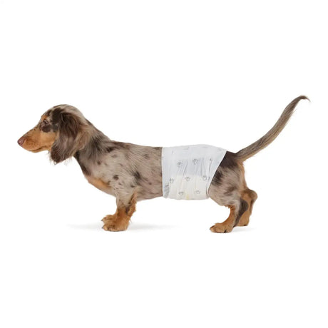 Pañales Desechables para Perro