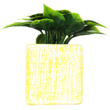 Planta con Maceta Cuadrada, Color Amarillo