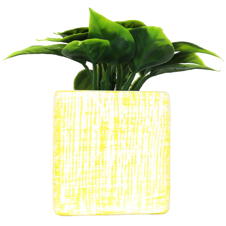 Planta con Maceta Cuadrada, Color Amarillo
