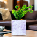 Planta con Maceta Cuadrada, Color Lila