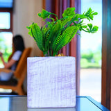 Planta con Maceta Cuadrada, Color Lila