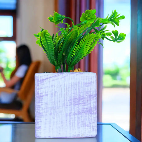 Planta con Maceta Cuadrada, Color Lila