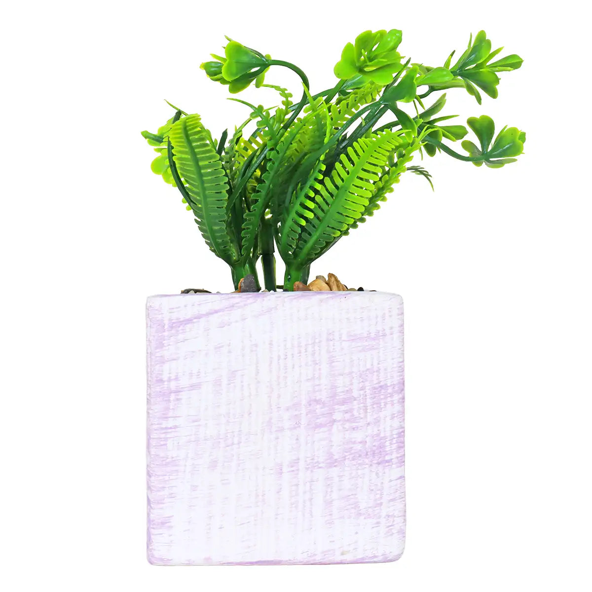 Planta con Maceta Cuadrada, Color Lila