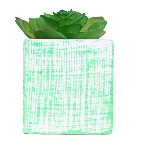 Planta con Maceta Cuadrada, Color Verde