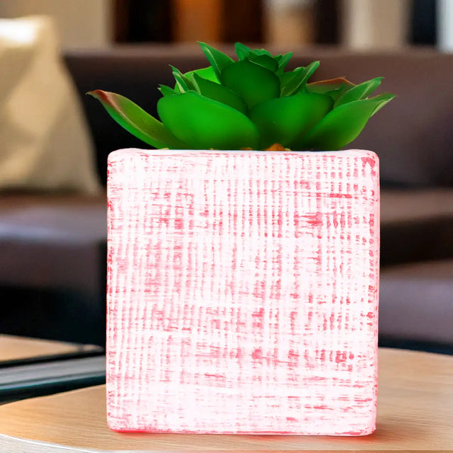 Planta con Maceta Cuadrada