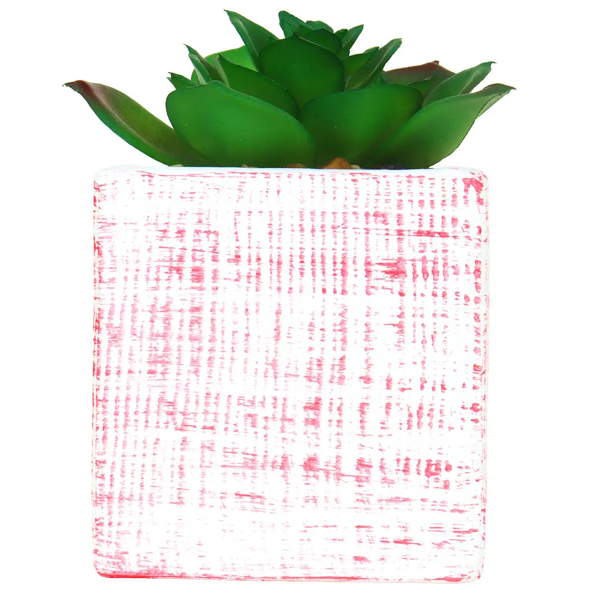 Planta con Maceta Cuadrada