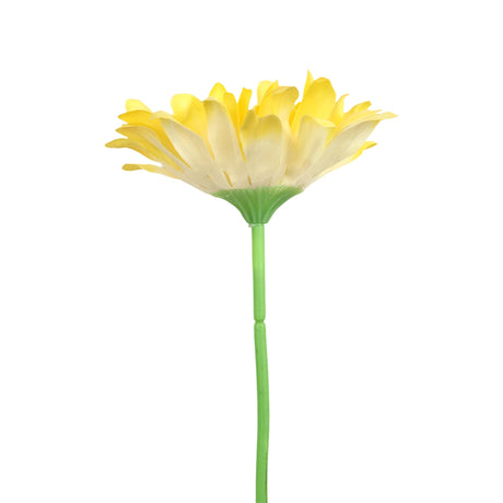 25 02AA GERBERA 1 FLORESAMA