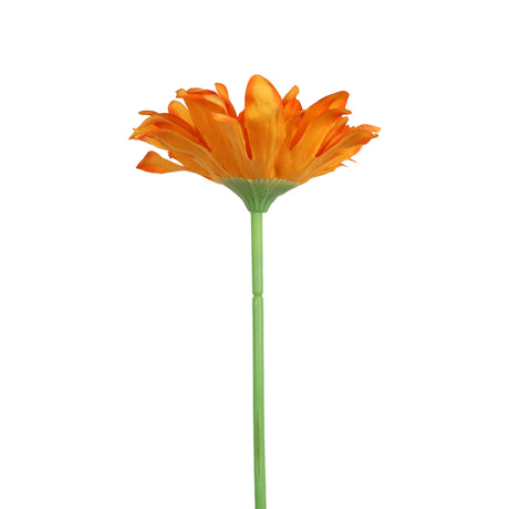 25 02AA GERBERA 1 FLORESNARA
