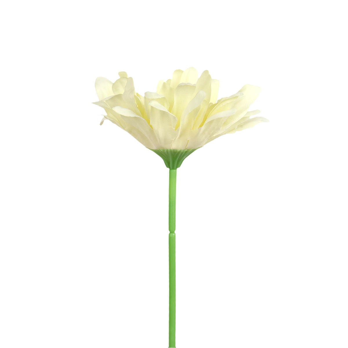 25 02AA GERBERA 1 FLORES