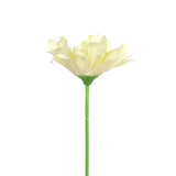 25 02AA GERBERA 1 FLORES