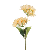 Bugambilia, 2 Flores, Color Durazno