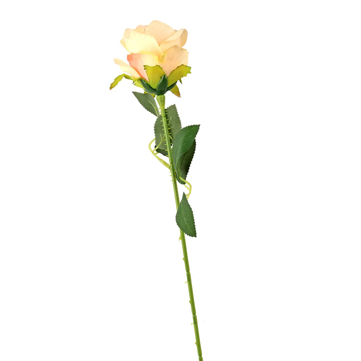 17 12AA FLOR ROSA INDIVIDUALAMA