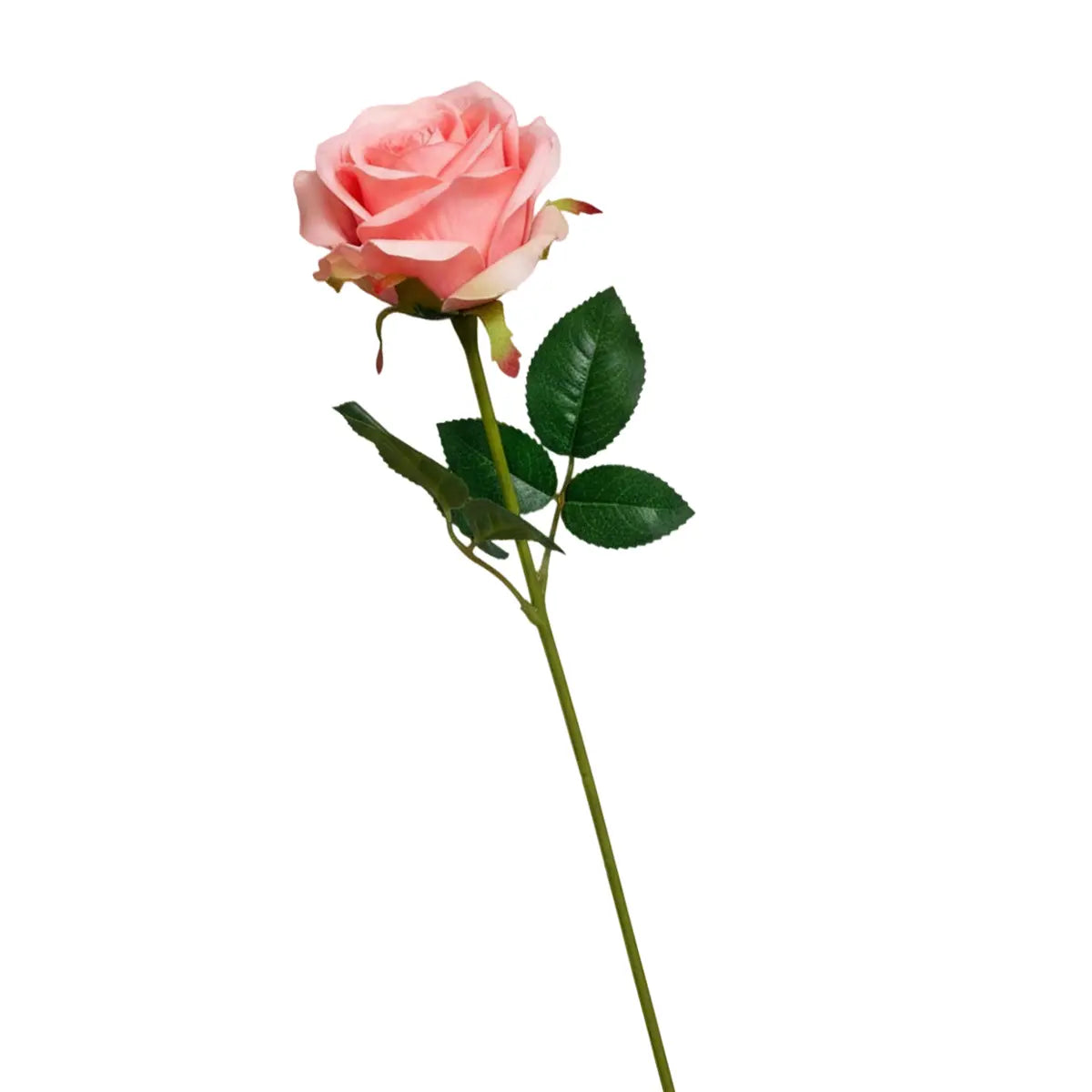 Rosa, Flor Artificial, Color Durazno