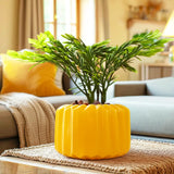 Planta con Diseño, Color Amarillo