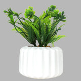 Planta con Maceta, Diseño Geométrico, Color Crema