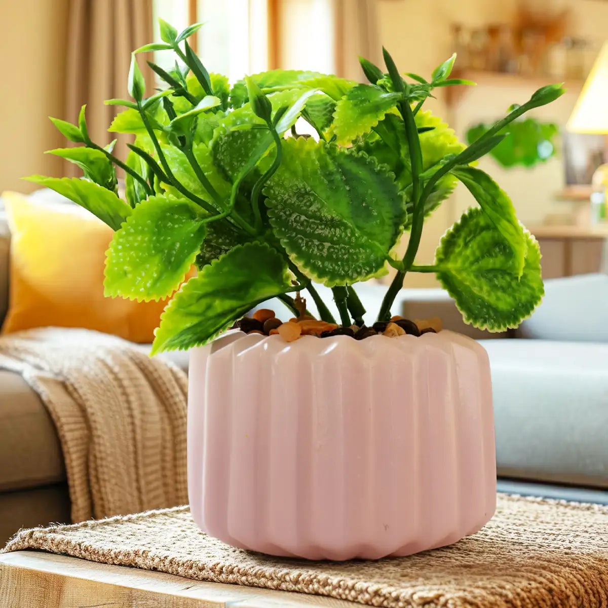 Planta con Maceta, Diseño Geométrico