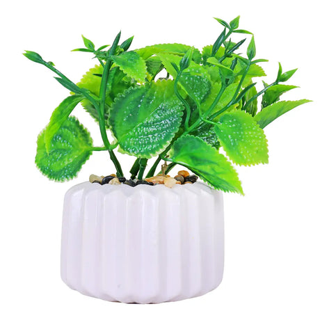 Planta con Maceta, Diseño Geométrico