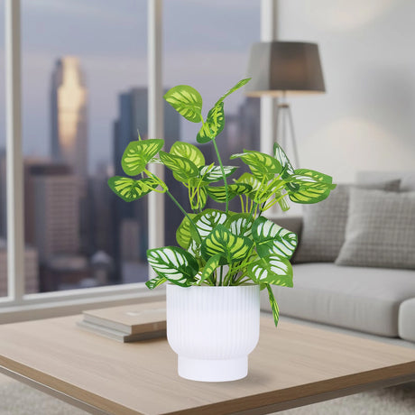 Calathea Artificial con Maceta Blanca
