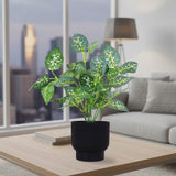 Calathea Amarilla Artificial con Maceta