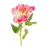 Peonía Artifical, Color Blanco y Rosa