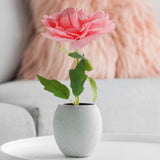 Peonía Artifical, Color Rosa